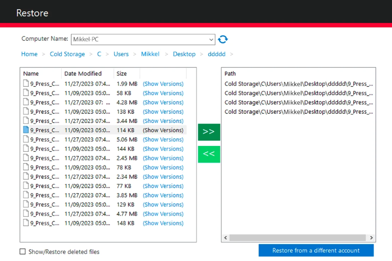 Polarbackup Restore